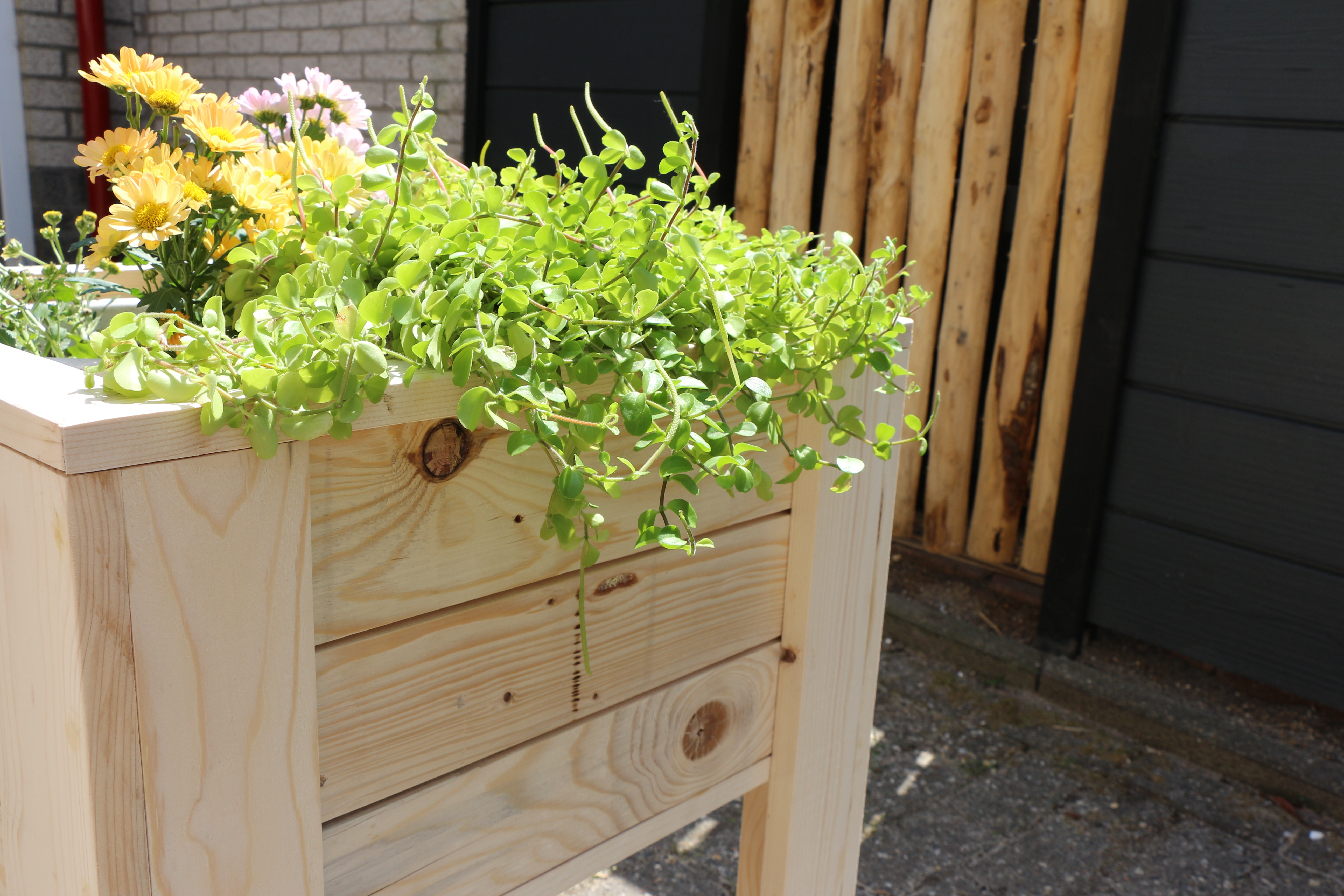 Herboren plantenbak